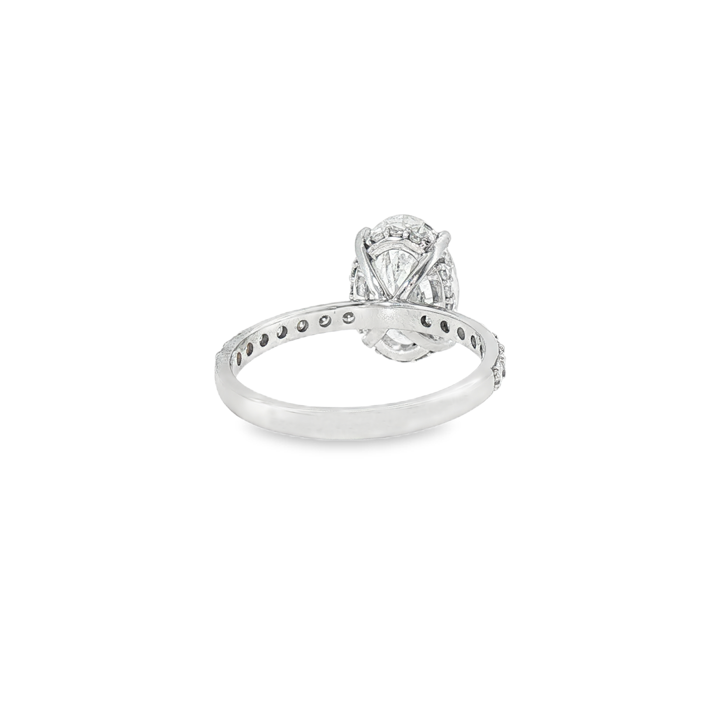 Oval Diamond Ring with Pavé Band — White Gold